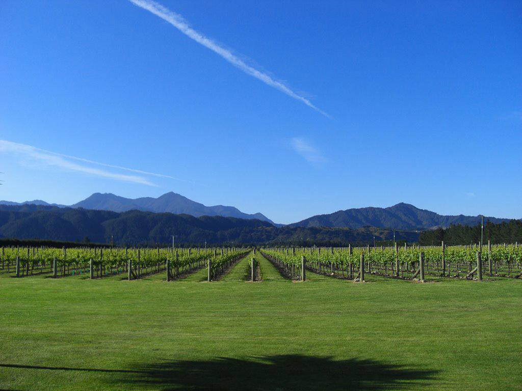 Renwick Straw Lodge Vineyard And Boutique Lodging المظهر الخارجي الصورة
