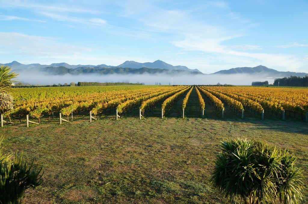Renwick Straw Lodge Vineyard And Boutique Lodging الغرفة الصورة
